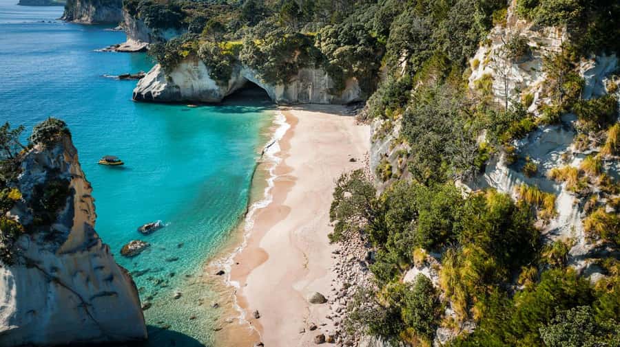Whitianga: 2-Hour Cathedral Cove and Volcanic Coast Cruise - Sea caves, blowholes, and volcanic rock