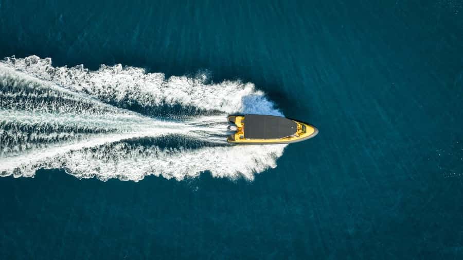 Whitianga: 2-Hour Cathedral Cove and Volcanic Coast Cruise - Wildlife on the way