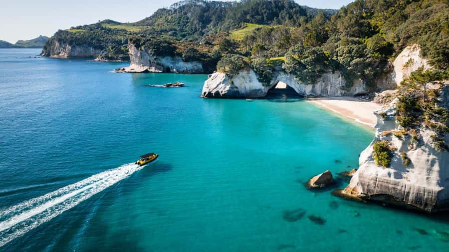 Whitianga: 2-Hour Cathedral Cove and Volcanic Coast Cruise - The guide makes the difference