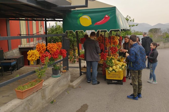 Wine & Food Tour at the Vesuvius Winery - Private transport and what is included