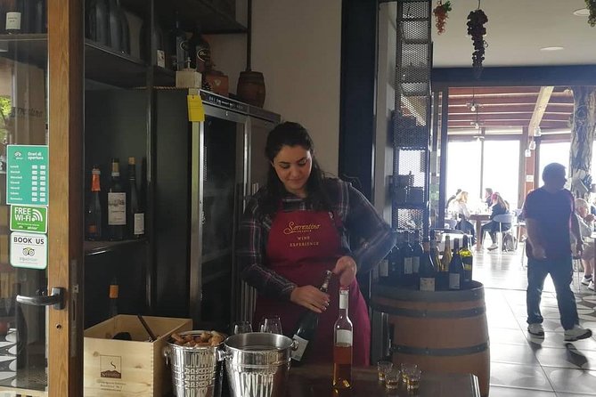 Wine & Food Tour at the Vesuvius Winery - Walking through four hectares of vineyard and cellar