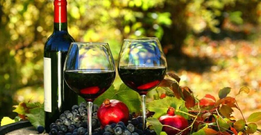 Wine Tasting Experience on the slopes of Vesuvius - Key things to know before booking