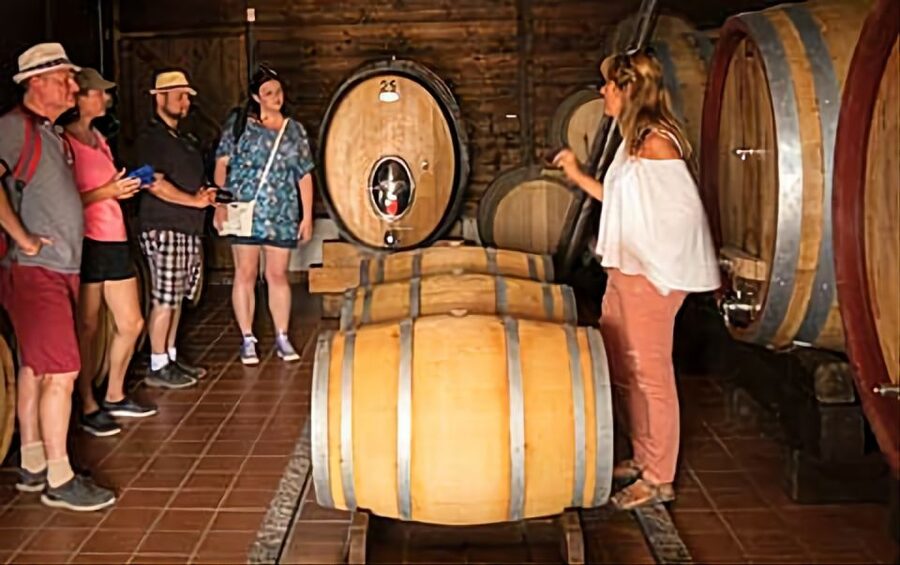 Wine Tasting Experience on the slopes of Vesuvius - How the small group affects the day