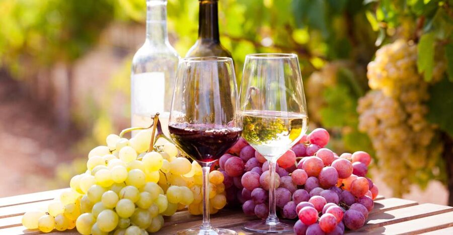 Wine tasting in the Vesuvius national park - Key Points to Know Before Booking
